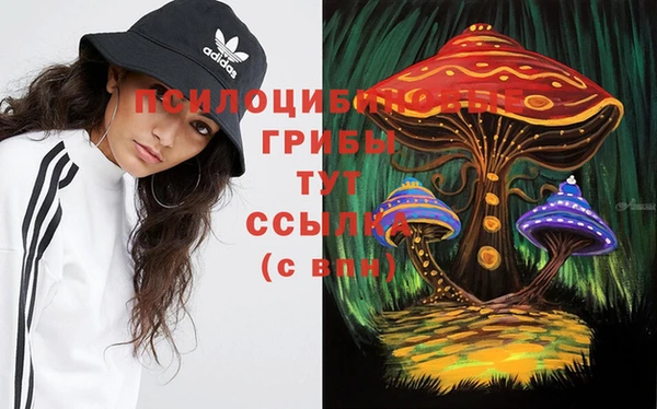 героин Алзамай